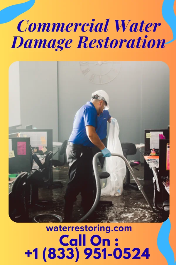 Commercial Water Damage Restoration in South Holland, IL