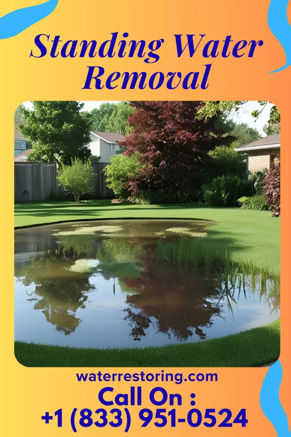 Standing Water Removal in South Holland, IL